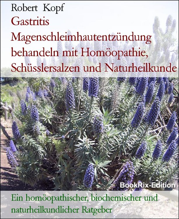 Produktbild: Gastritis Magenschleimhautentz&uuml;ndung behandeln mit Hom&ouml;opathie, Sch&uuml;sslersalzen und Naturheilkunde