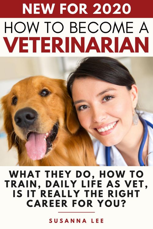 Produktbild: How to Become a Veterinarian