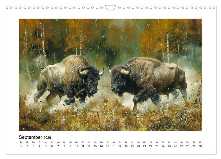 Produktbild: Wilde Rinder (Wandkalender 2026 DIN A3 quer), CALVENDO Monatskalender