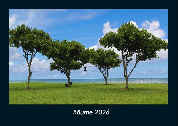 Produktbild: B&auml;ume 2026 Fotokalender DIN A4
