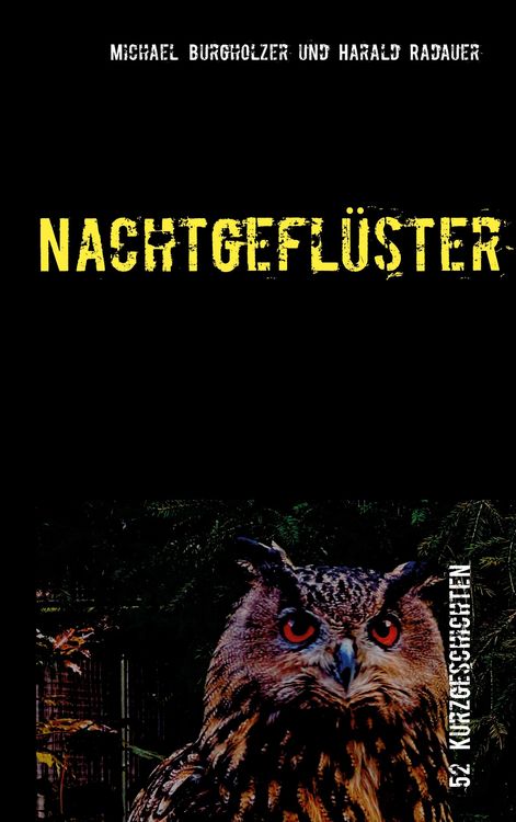 Produktbild: Nachtgefl&uuml;ster