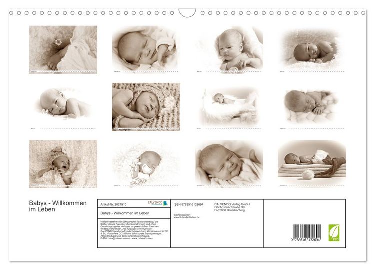 Produktbild: Babys - Willkommen im Leben (Wandkalender 2026 DIN A3 quer), CALVENDO Monatskalender