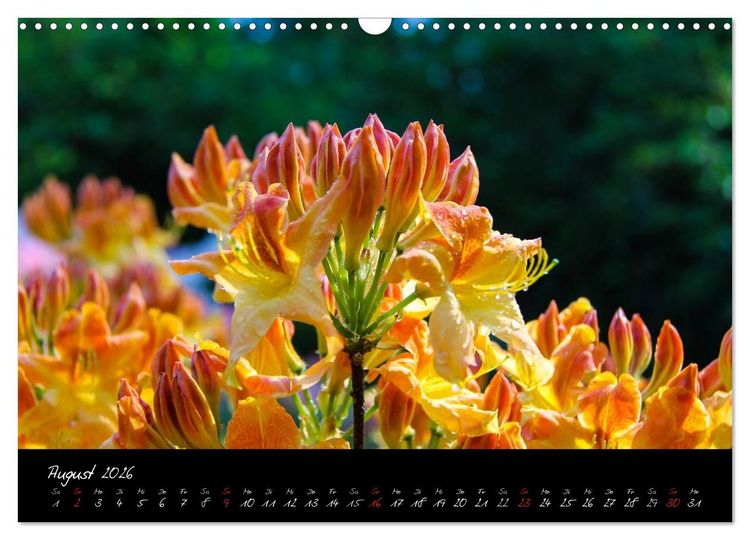 Produktbild: Butchart Gardens 2026 (Wandkalender 2026 DIN A3 quer), CALVENDO Monatskalender