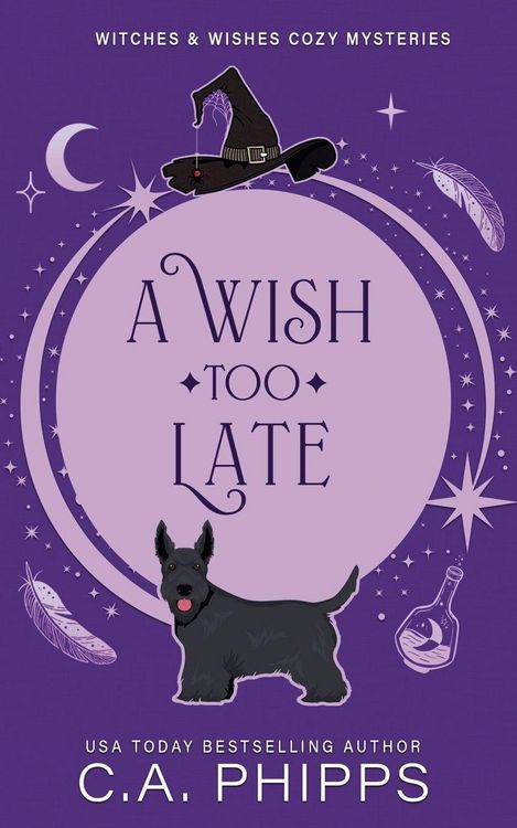 Produktbild: A Wish Too Late