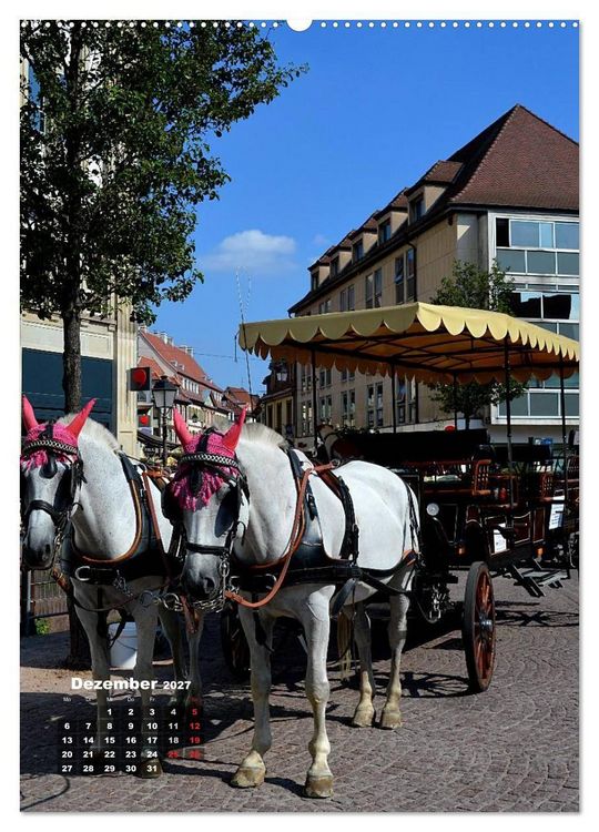 Produktbild: Colmar - Zauberhafte Stadt im Elsass (hochwertiger Premium Wandkalender 2027 DIN A2 hoch), Kunstdruck in Hochglanz