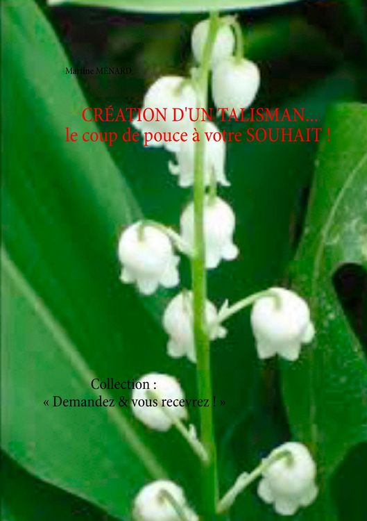 Produktbild: CR&Eacute;ATION D'UN TALISMAN... le coup de pouce &agrave; votre SOUHAIT !