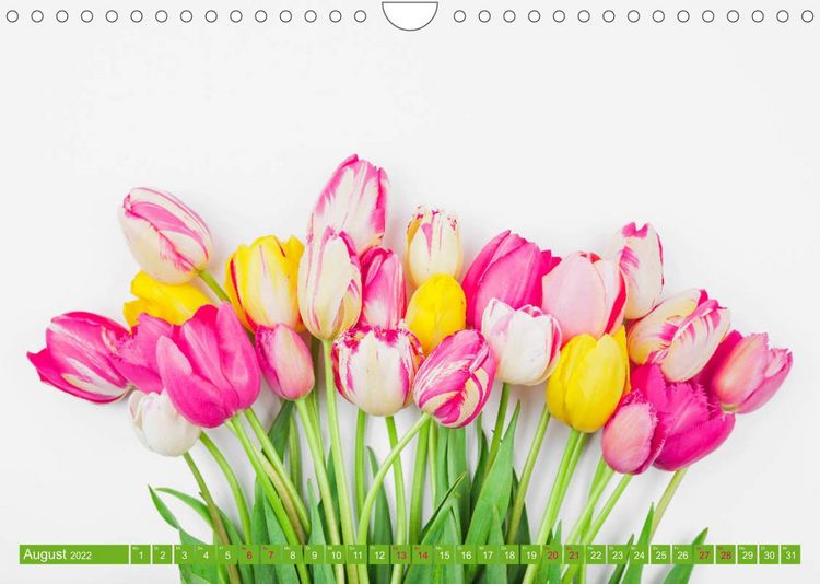 Produktbild: Tulpen f&uuml;r das ganze Jahr (Wandkalender 2022 DIN A4 quer)