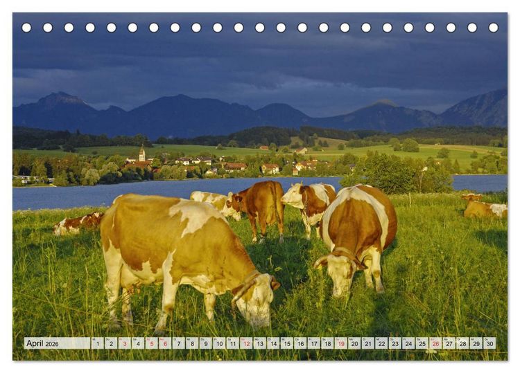 Produktbild: Das Blaue Land - Himmel, Seen und Berge im bayerischen Voralpenland (Tischkalender 2026 DIN A5 quer), CALVENDO Monatskalender