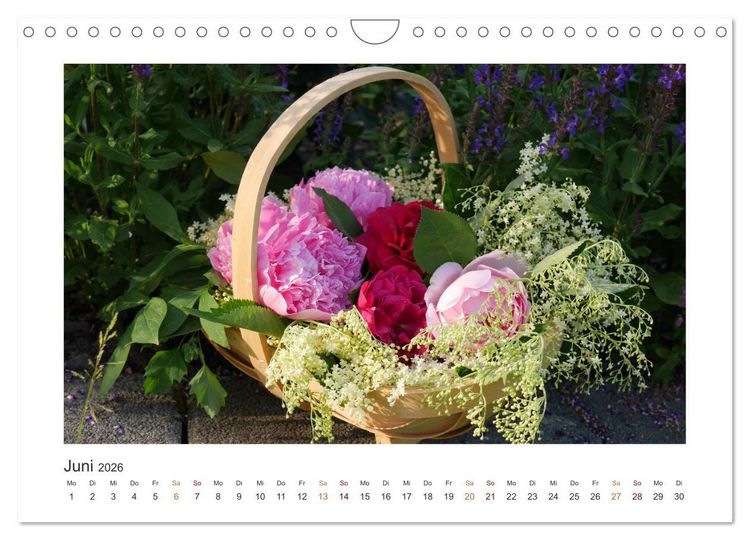 Produktbild: Blumen, Bl&uuml;ten, Dekoliebe (Wandkalender 2026 DIN A4 quer), CALVENDO Monatskalender