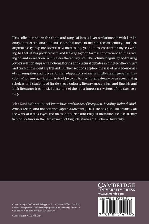 Produktbild: James Joyce in the Nineteenth Century