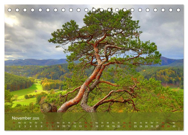 Produktbild: Wanderparadies S&uuml;dpfalz (Tischkalender 2026 DIN A5 quer), CALVENDO Monatskalender