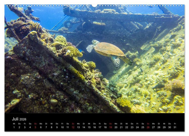 Produktbild: Abu Nuhas - Wracks im Roten Meer (hochwertiger Premium Wandkalender 2026 DIN A2 quer), Kunstdruck in Hochglanz