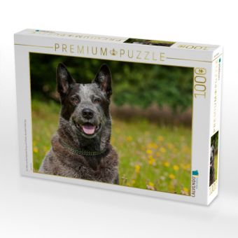 Produktbild: CALVENDO Puzzle Ein Motiv aus dem Kalender Power auf 4 Pfoten. Australian Cattle Dog | 1000 Teile Lege-Gr&ouml;&szlig;e 64x48cm Foto-Puzzle f&uuml;r gl&uuml;ckliche Stunden
