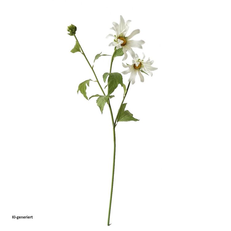 Produktbild: HTI-Living Produkt 29198 Artikel 45603
