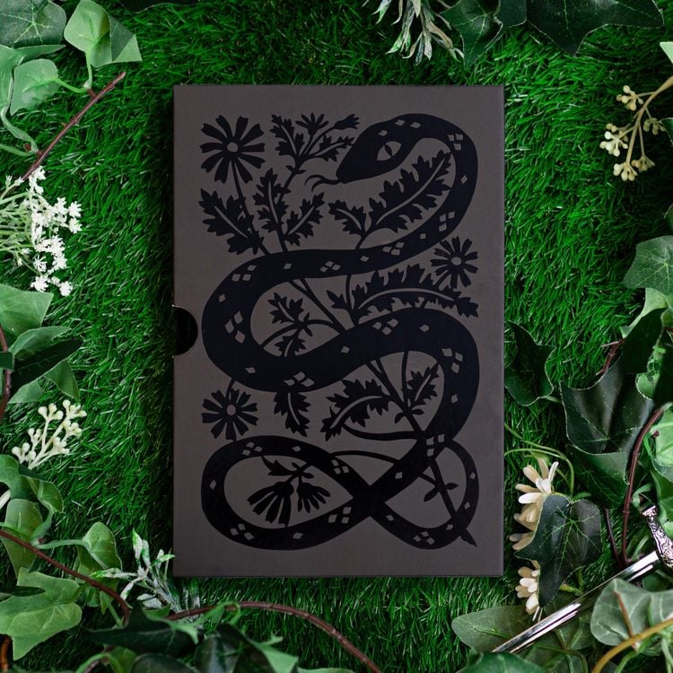 Produktbild: The Queen of Nothing: Collector's Edition