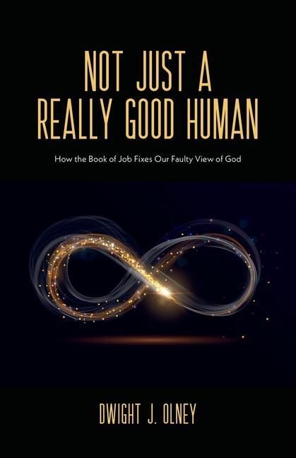 Produktbild: Not Just a Really Good Human: How the Book of Job Fixes Our Faulty View of God