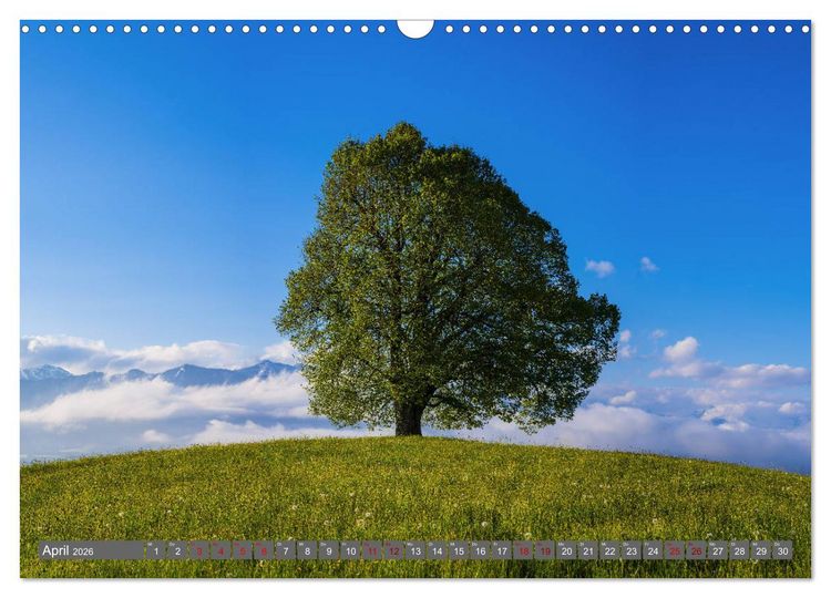 Produktbild: Sch&ouml;ne Wanderungen um Oberstdorf (Wandkalender 2026 DIN A3 quer), CALVENDO Monatskalender
