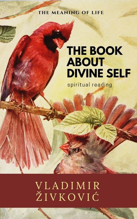 Produktbild: The Book About Divine Self