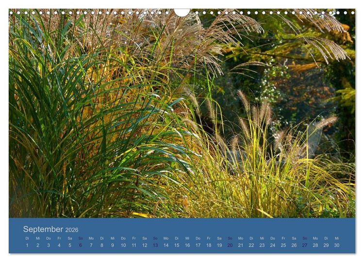 Produktbild: Gartenfl&uuml;stern (Wandkalender 2026 DIN A3 quer), CALVENDO Monatskalender