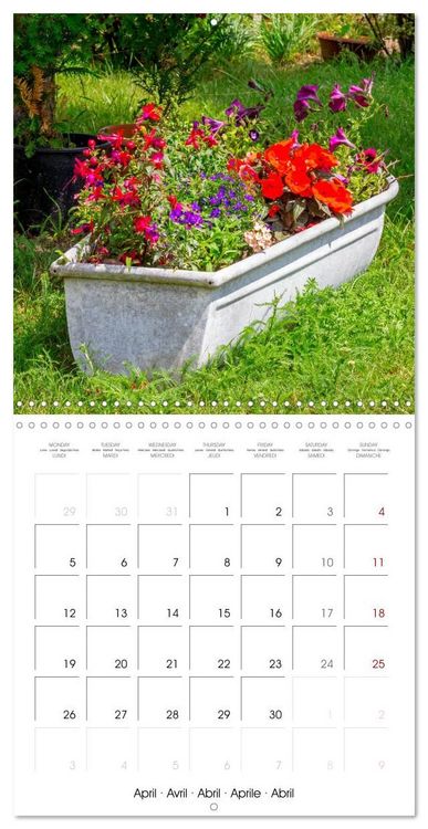 Produktbild: Harriette`s sweet garden (Wall Calendar 2027 12 &times; 12 Inch) CALVENDO 12 Month Wall Calendar