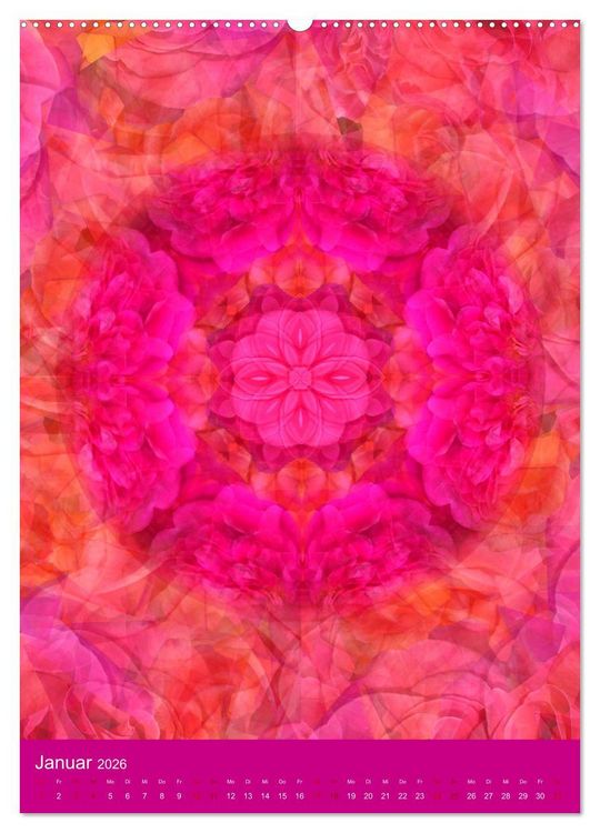 Produktbild: Meditative Pflanzenmandalas (hochwertiger Premium Wandkalender 2026 DIN A2 hoch), Kunstdruck in Hochglanz