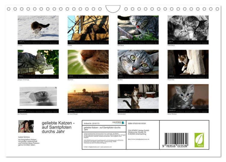 Produktbild: geliebte Katzen - auf Samtpfoten durchs Jahr (Wandkalender 2026 DIN A4 quer), CALVENDO Monatskalender