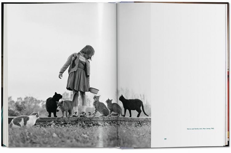 Produktbild: Walter Chandoha. Cats. Photographs 1942&ndash;2018