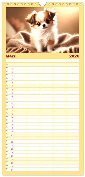 Produktbild: Familienplaner 2026 - Chihuahua-Welpen &ndash; Kleine Wunder mit 5 Spalten (Wandkalender, 21 x 45 cm) CALVENDO
