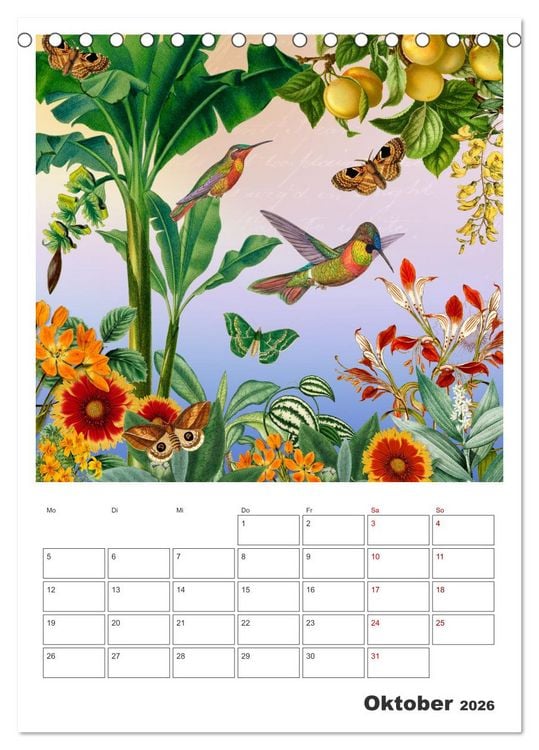 Produktbild: Das Paradies der Kolibris (Tischkalender 2026 DIN A5 hoch), CALVENDO Monatskalender
