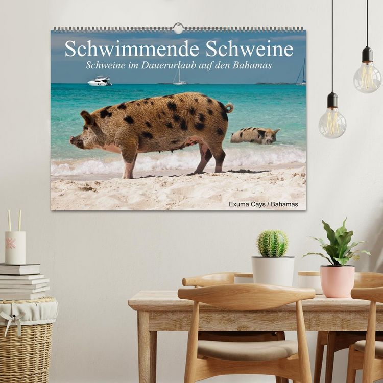 Produktbild: Schwimmende Schweine (Wandkalender 2026 DIN A2 quer), CALVENDO Monatskalender