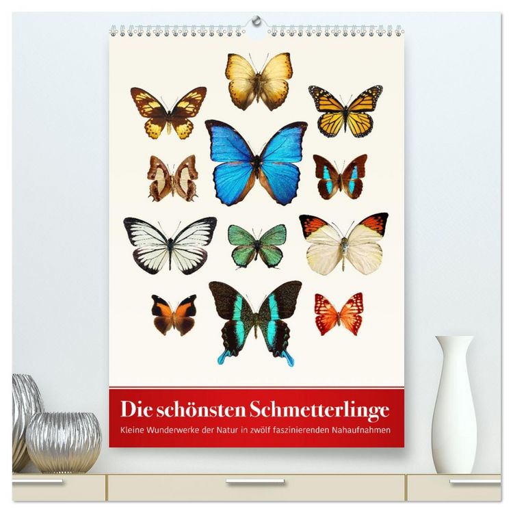 Produktbild: Die sch&ouml;nsten Schmetterlinge (hochwertiger Premium Wandkalender 2026 DIN A2 hoch), Kunstdruck in Hochglanz