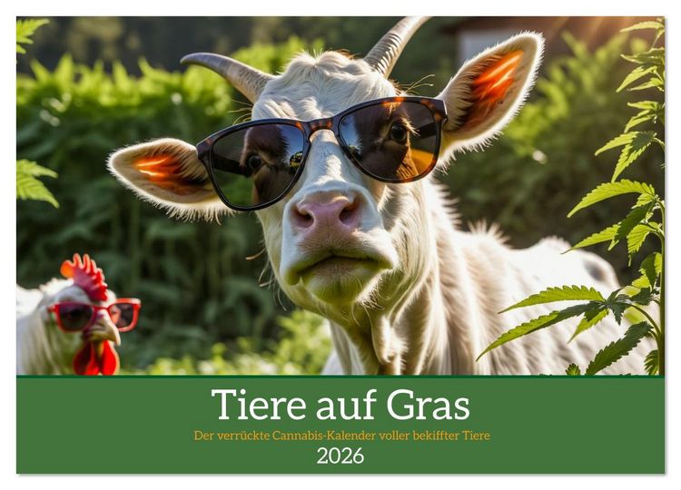 Produktbild: Tiere auf Gras - Der verr&uuml;ckte Cannabis-Kalender voller bekiffter Tiere (Wandkalender 2026 DIN A3 quer), CALVENDO Monatskalender