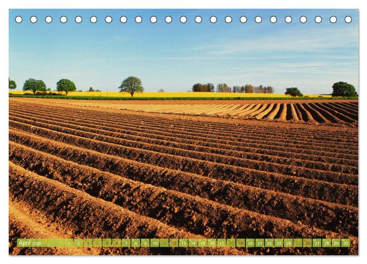 Produktbild: Landwirtschaft Natur pur Mecklenburg-Vorpommern (Tischkalender 2026 DIN A5 quer), CALVENDO Monatskalender
