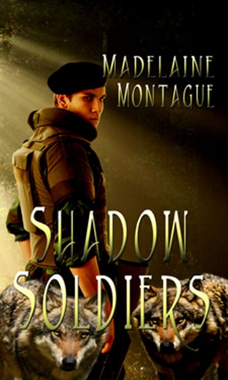 Produktbild: Shadow Soldiers