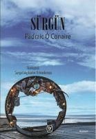 Produktbild: S&uuml;rg&uuml;n