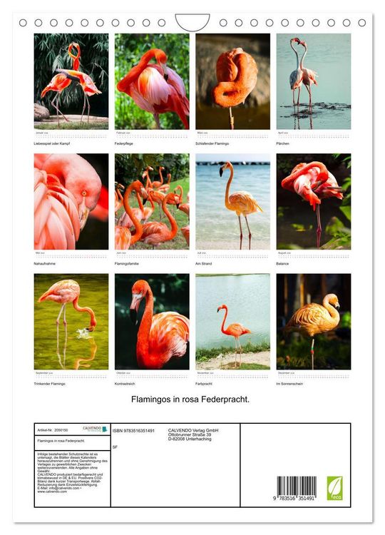Produktbild: Flamingos in rosa Federpracht. (Wandkalender 2026 DIN A4 hoch), CALVENDO Monatskalender