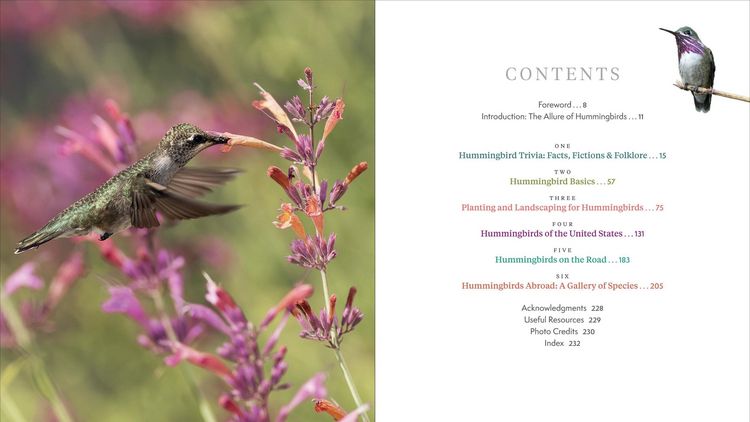 Produktbild: The Hummingbird Handbook