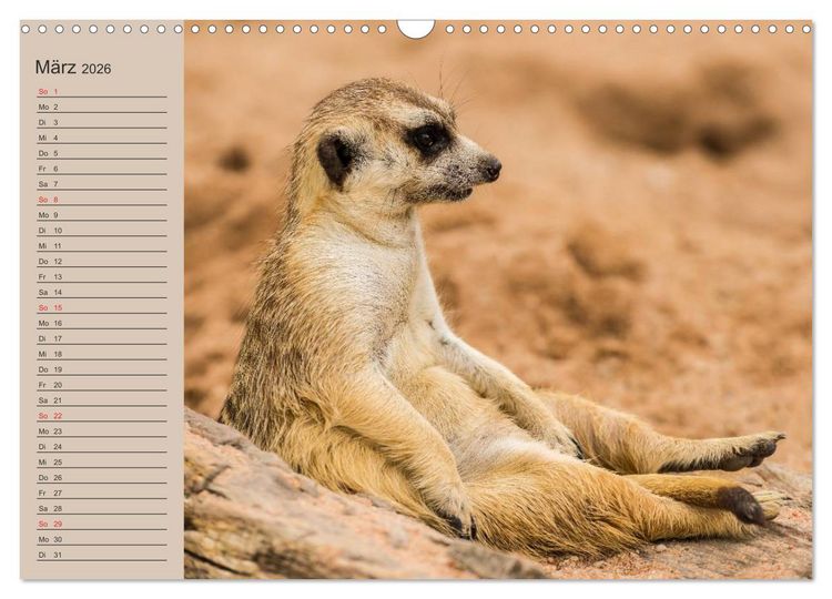 Produktbild: Erdm&auml;nnchen (Wandkalender 2026 DIN A3 quer), CALVENDO Monatskalender