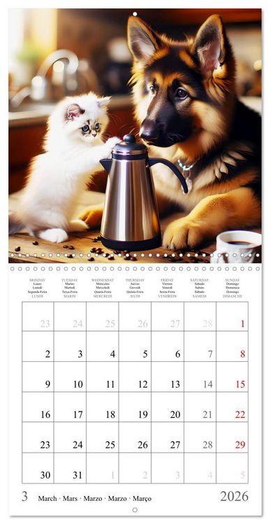 Produktbild: Des amis inhabituels (Calendrier mural carr&eacute; 2026 30x30 cm) Calendrier double avec une page pour vos prises de notes