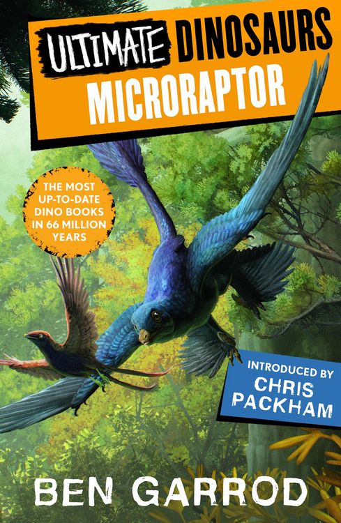 Produktbild: Microraptor