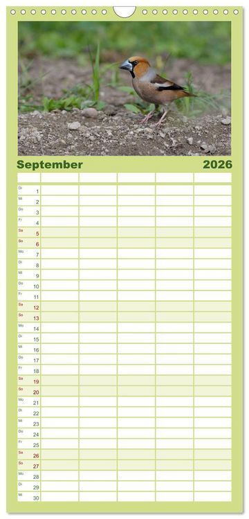 Produktbild: Familienplaner 2026 - V&ouml;gel mit 5 Spalten (Wandkalender, 21 x 45 cm) CALVENDO
