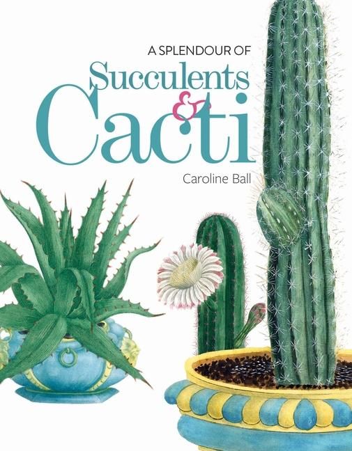 Produktbild: A Splendour of Succulents & Cacti