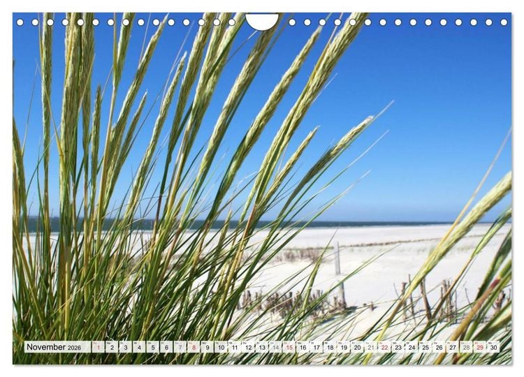 Produktbild: Amrum &ndash; Trauminsel in der Nordsee (Wandkalender 2026 DIN A4 quer), CALVENDO Monatskalender