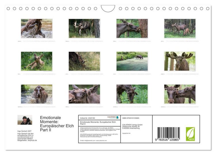 Produktbild: Emotionale Momente: Europ&auml;ischer Elch Part II (Wandkalender 2026 DIN A4 quer), CALVENDO Monatskalender