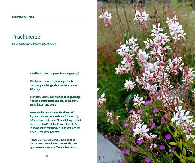 Produktbild: G&auml;rtnern im Wandel