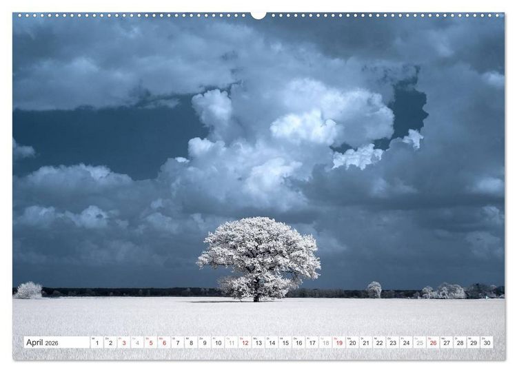 Produktbild: Zauberhafte Infrarot-Fotografie (hochwertiger Premium Wandkalender 2026 DIN A2 quer), Kunstdruck in Hochglanz