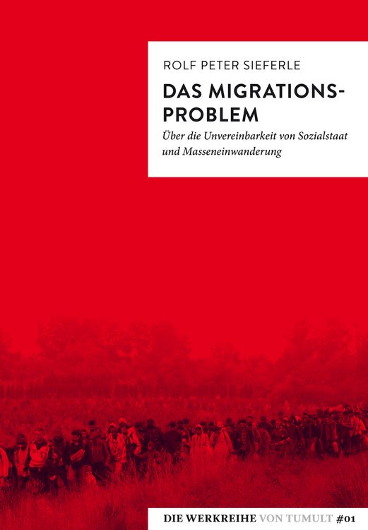 Produktbild: Das Migrationsproblem
