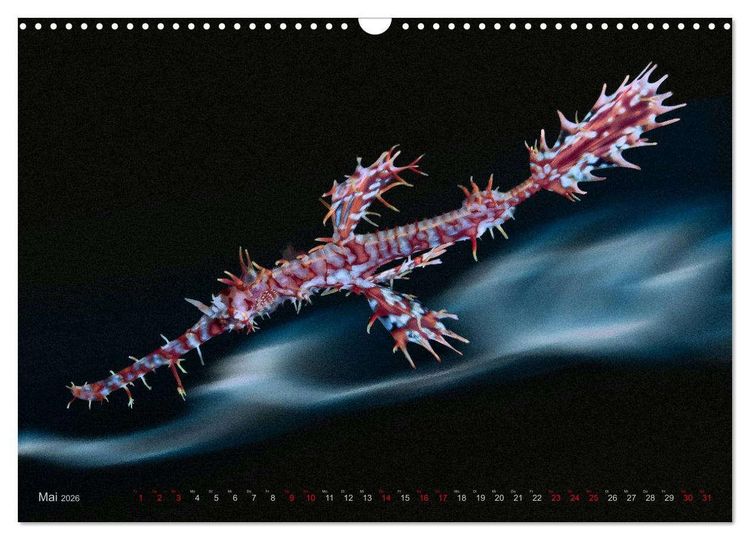 Produktbild: Artwork Unterwasser - Erlebnis Tauchen (Wandkalender 2026 DIN A3 quer), CALVENDO Monatskalender