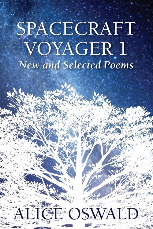 Produktbild: Spacecraft Voyager 1