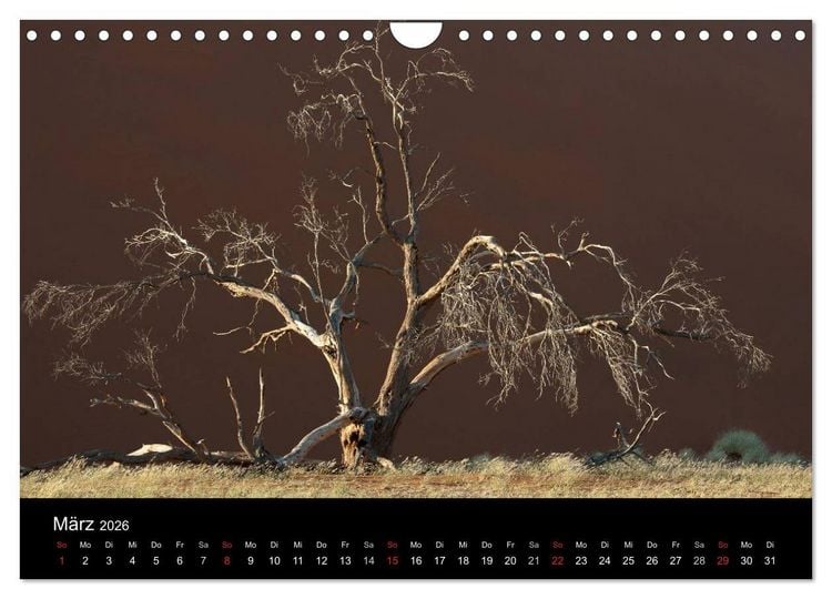 Produktbild: Namibia (Wandkalender 2026 DIN A4 quer), CALVENDO Monatskalender